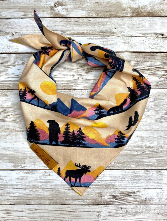 Southwestern Mountainview Bandana
