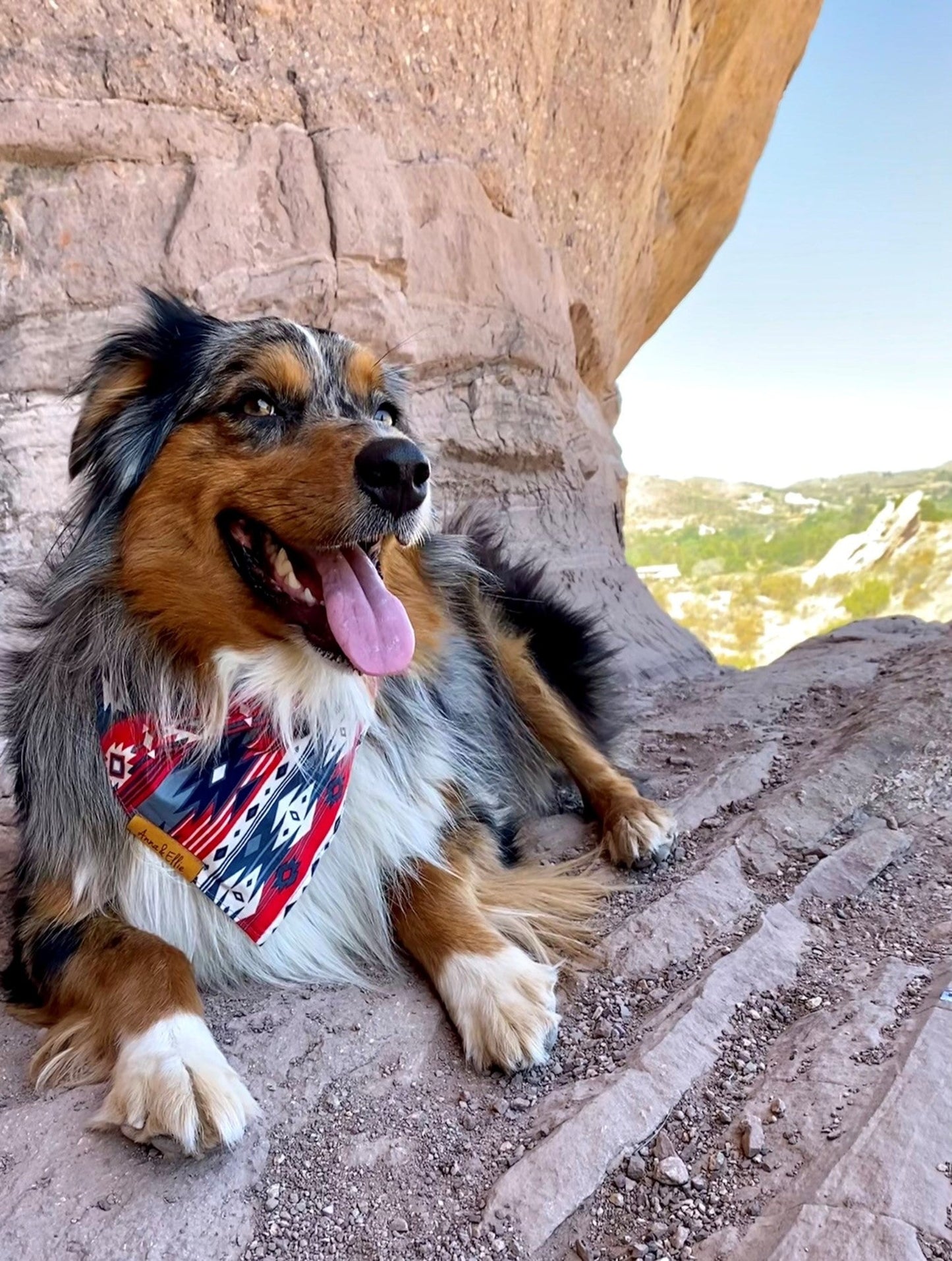 Southwestern Red White & Blue Bandana