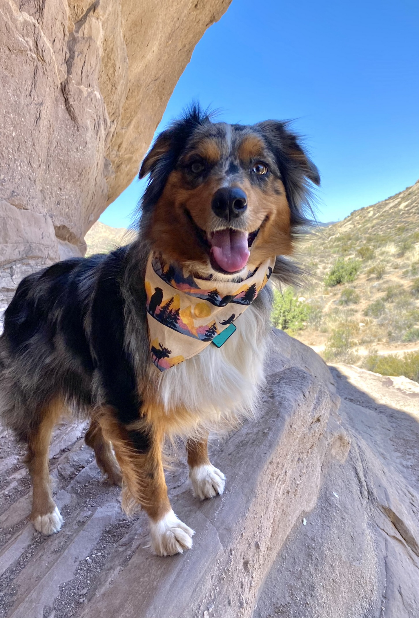 Southwestern Mountainview Bandana