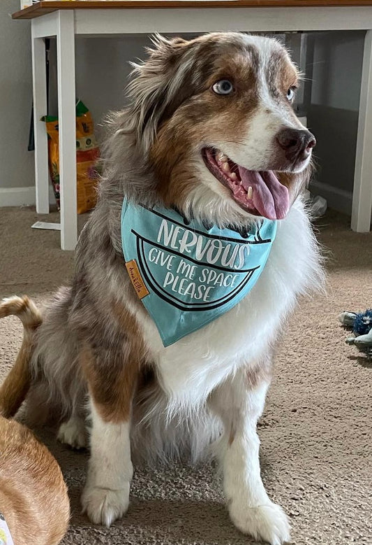 Blue Nervous, Give Me Space! Bandana