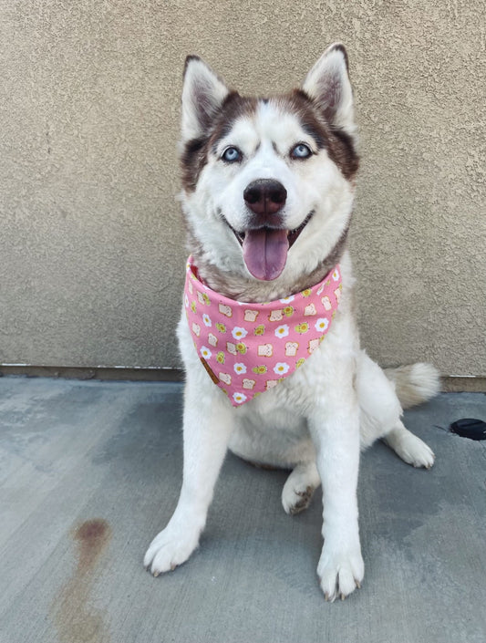 Avocado Toast & Yolks Bandana