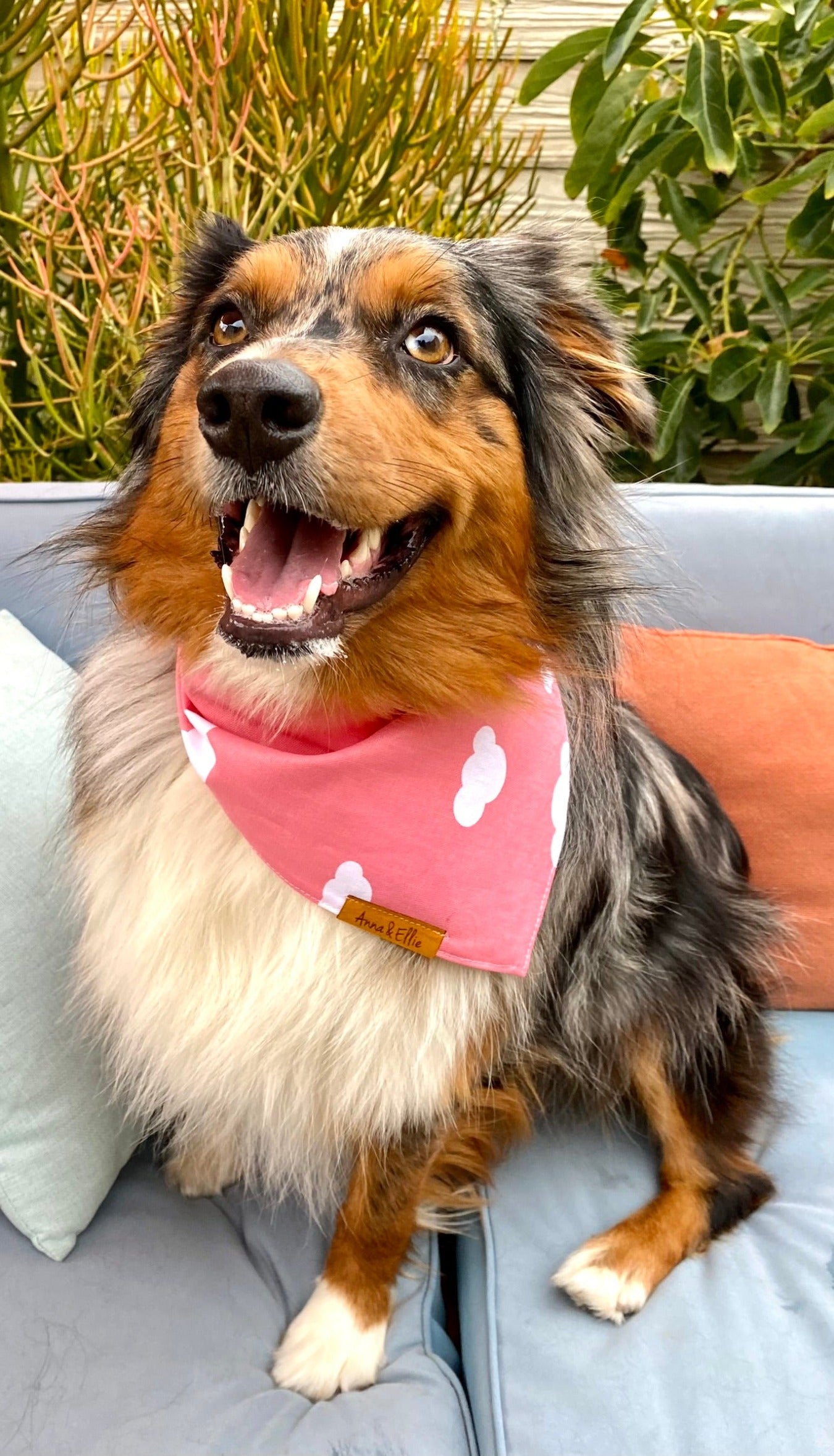 White Clouds on Pink Bandana