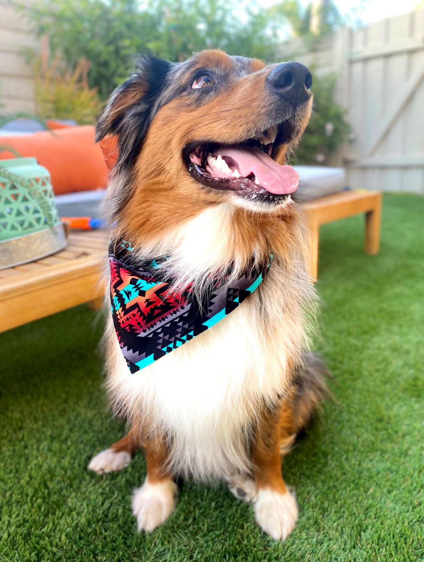 Southwestern Black Bandana