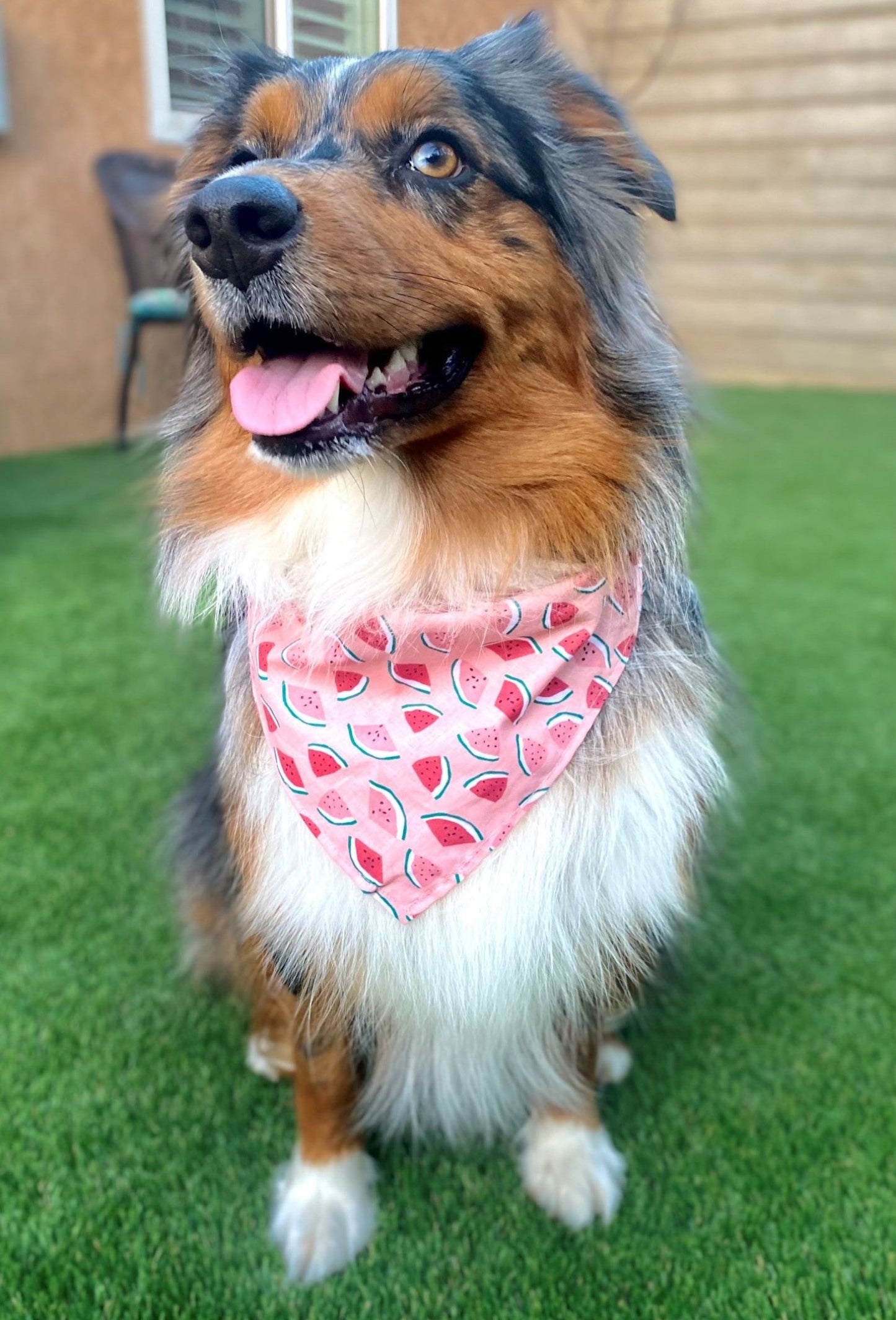 Pink Watermelons Bandana