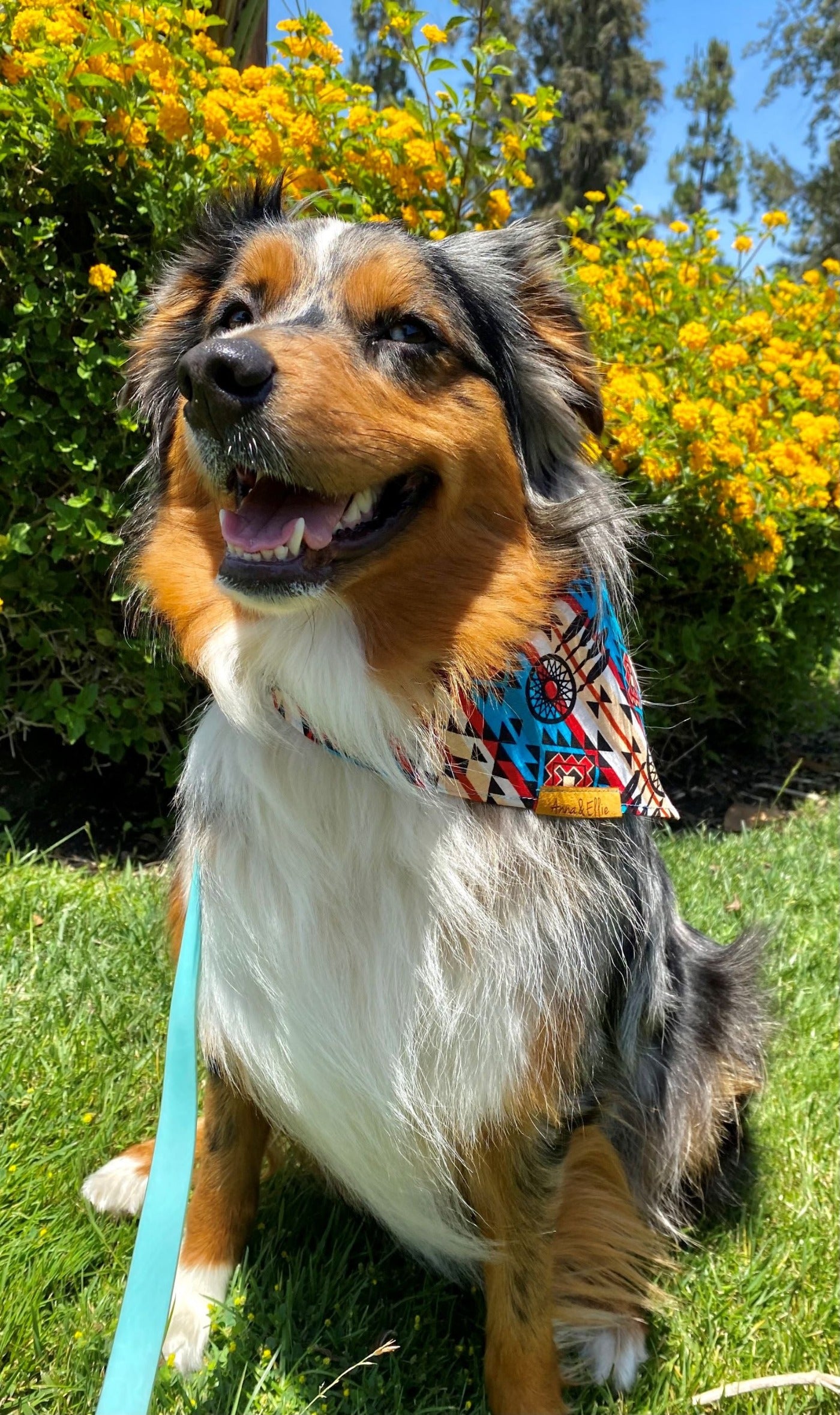 Southwestern Dreamcatcher Bandana