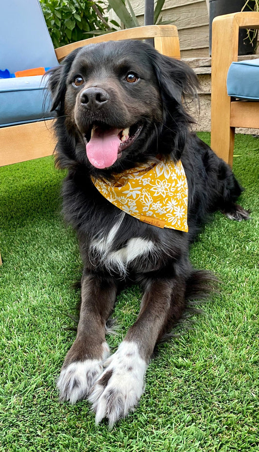 White Floral Bandana