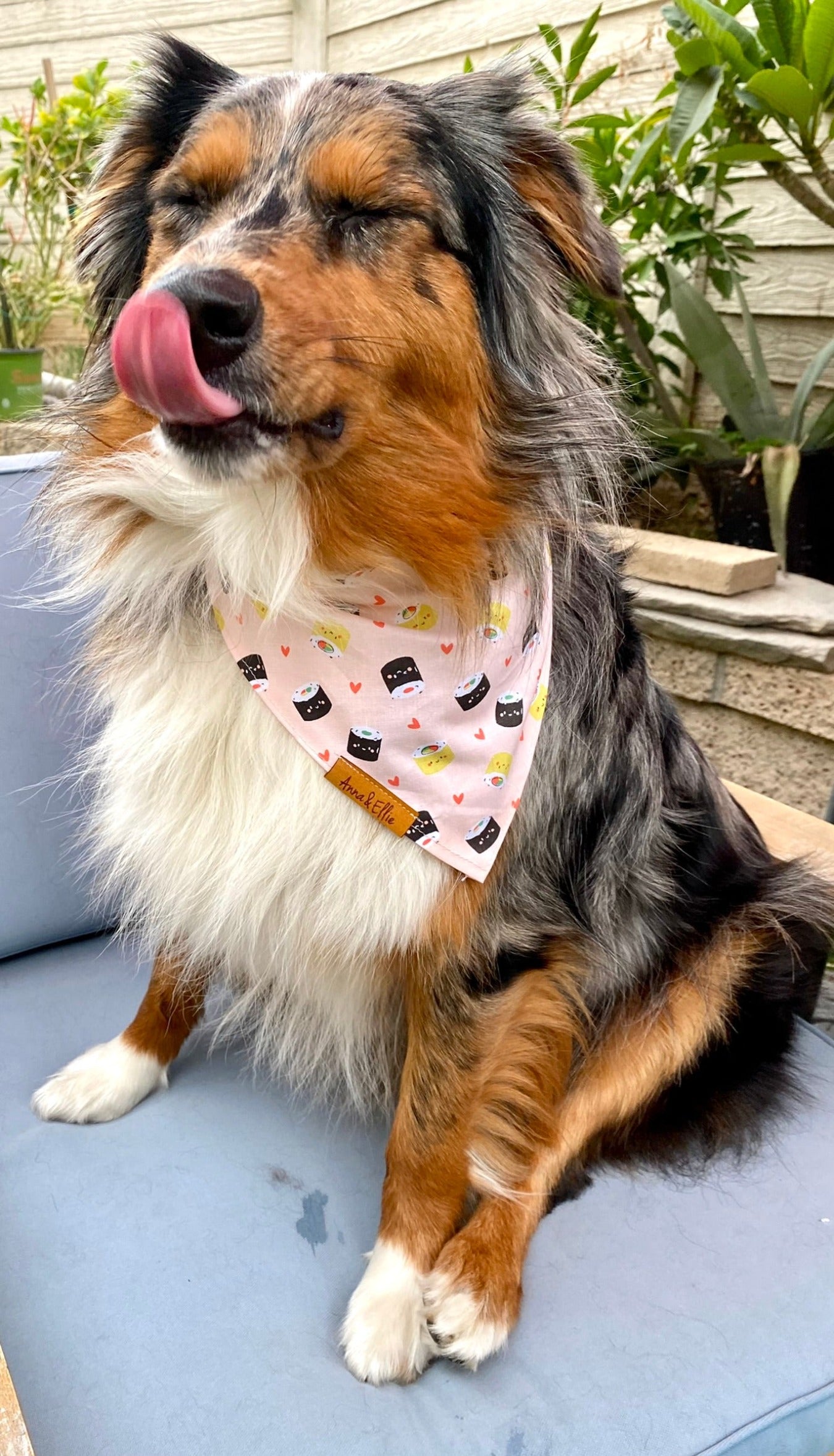 Sushi Love! Bandana