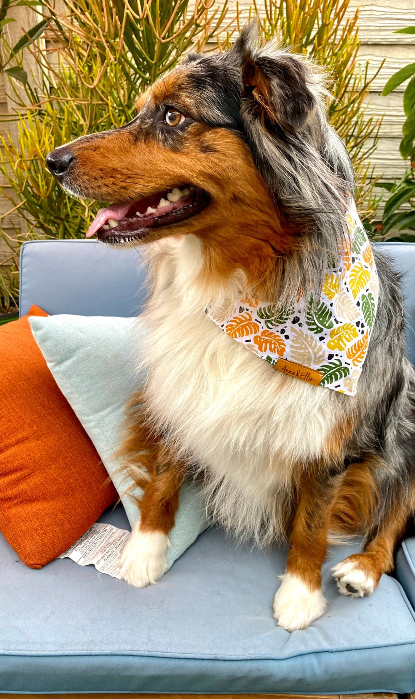 Falling Leaves Bandana