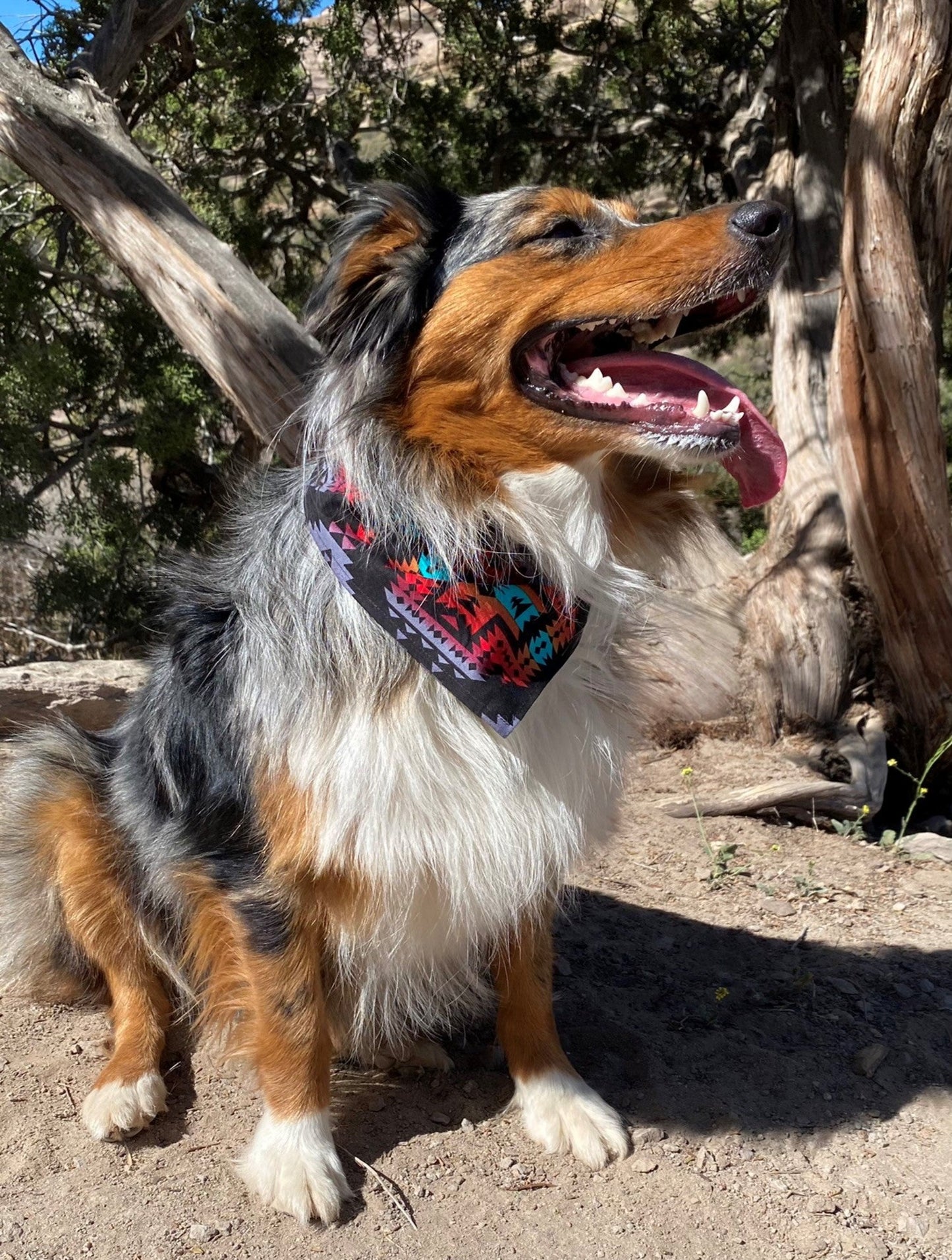 Southwestern Black Bandana