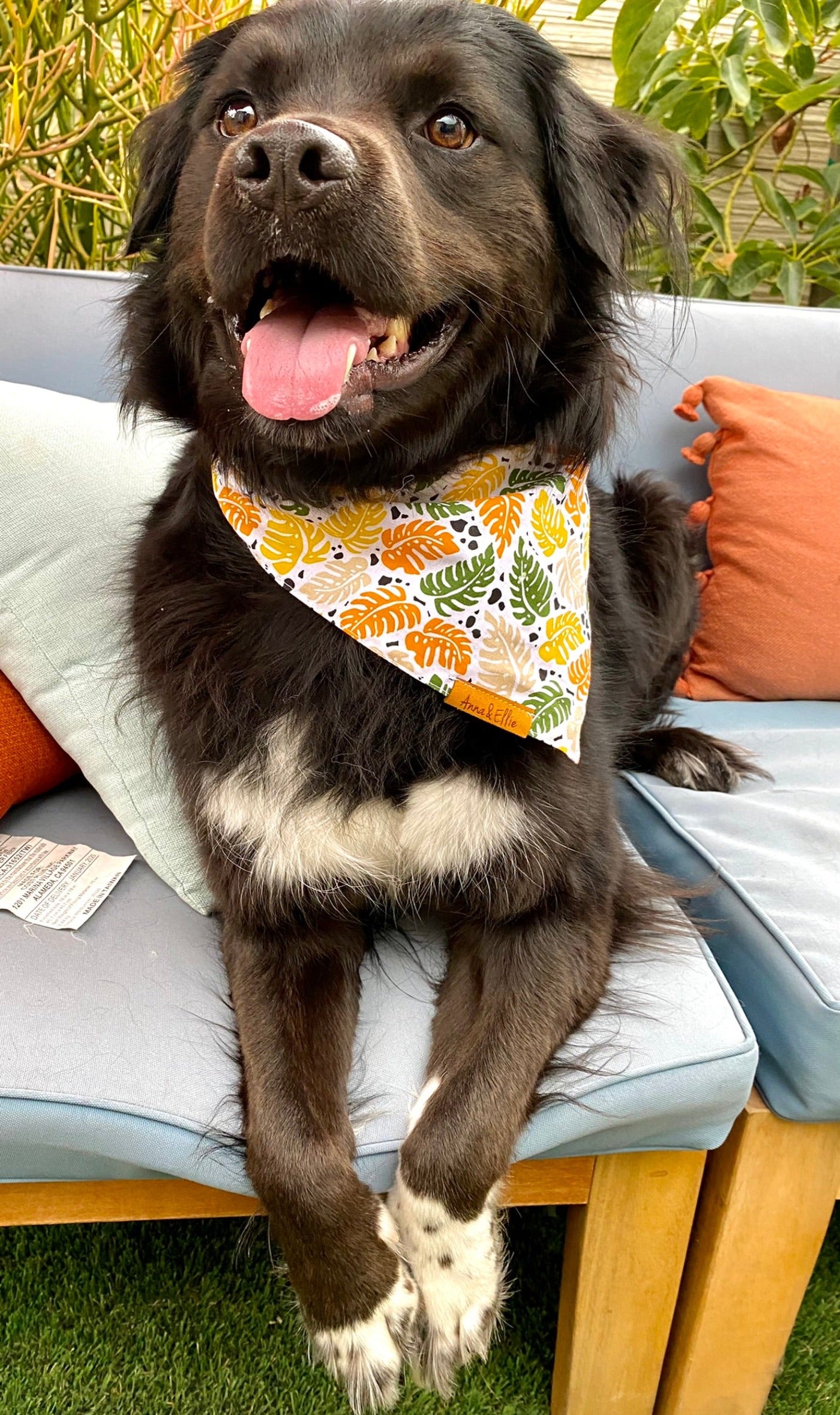 Falling Leaves Bandana