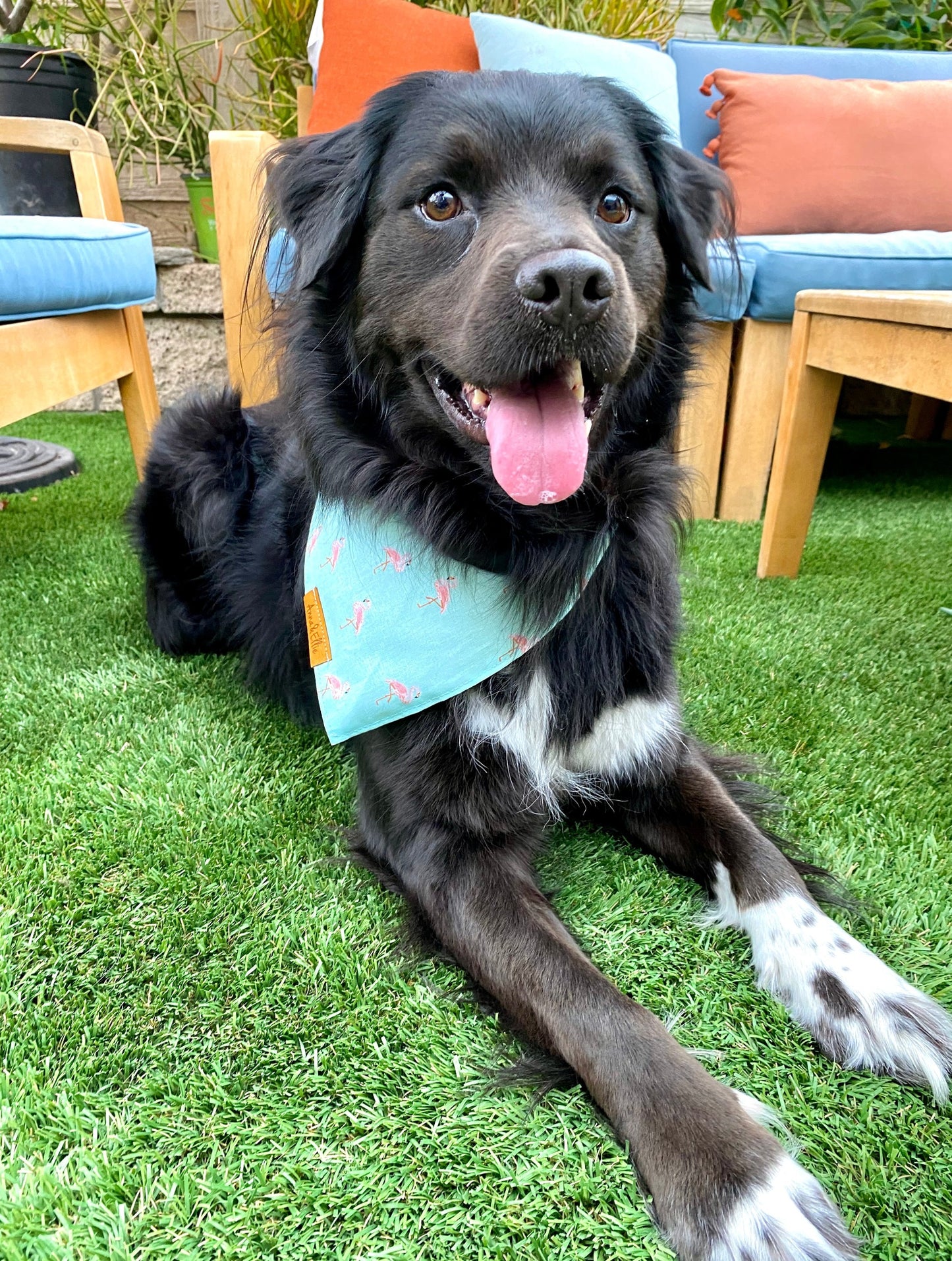 Flamingos on Teal Bandana