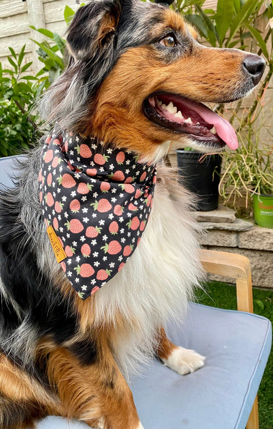 Strawberries On Black Bandana