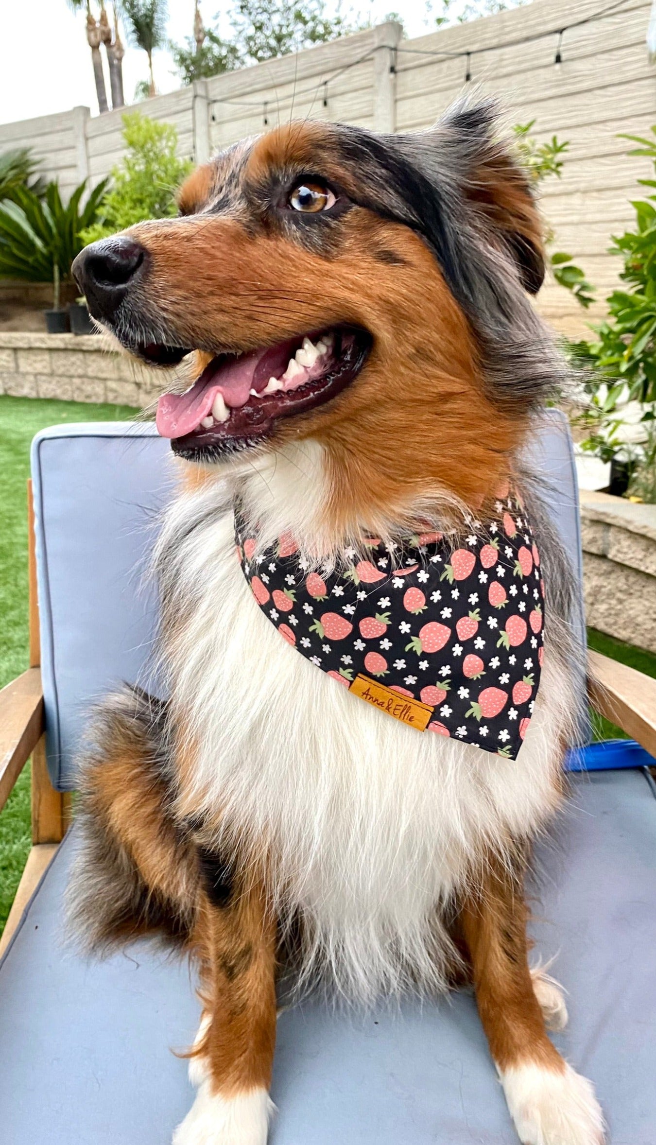 Strawberries On Black Bandana