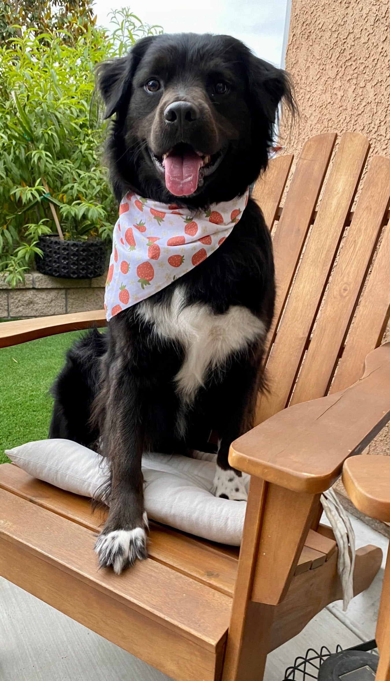 Strawberries On White Bandana