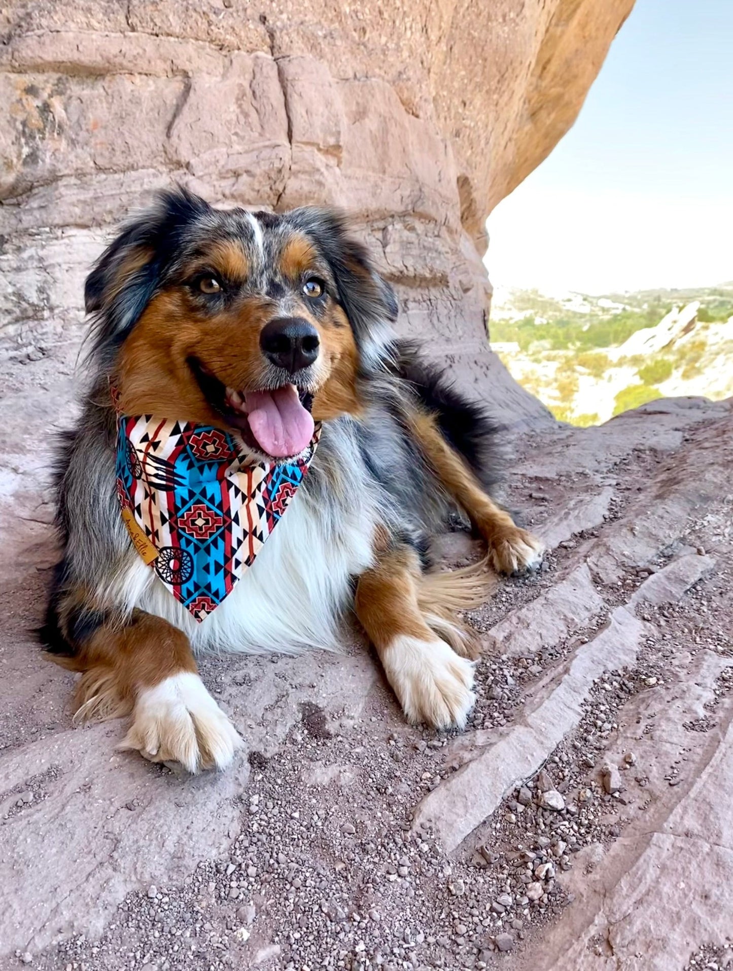 Southwestern Dreamcatcher Bandana